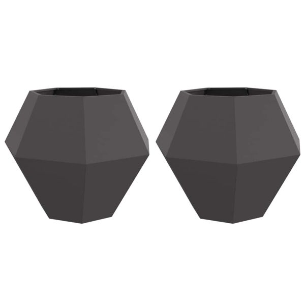 Кашпа 2 pcs Черно 100 x 100 x 80 см Стомана