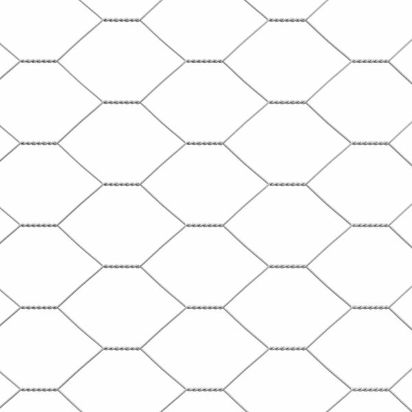 Клетка за пилета Сребристо 2 x 2 x 2 m Поцинкована стомана