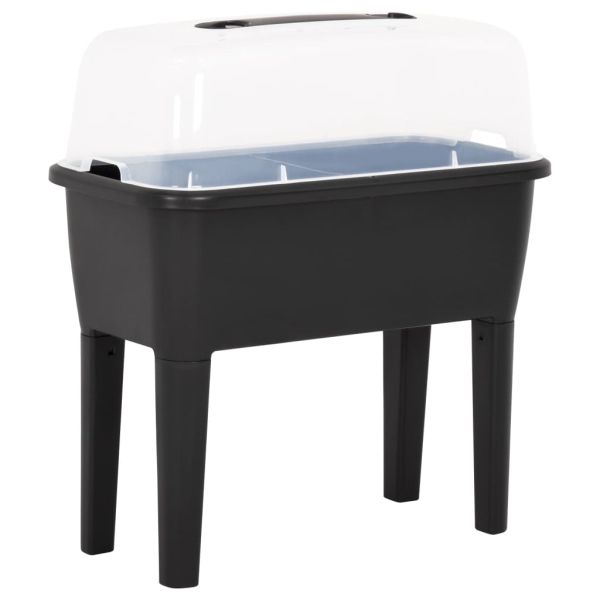 Повдигната леха 77x38,7x82 см PP