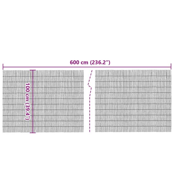 Градинска ограда 600x100 см тръстика