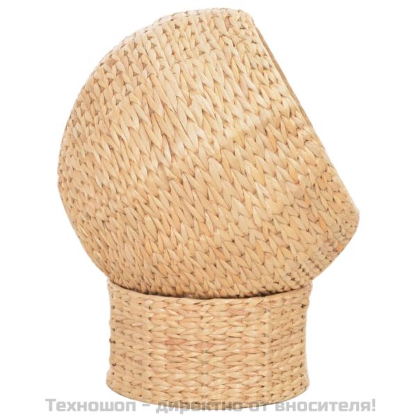 Котешка кошница, морска трева