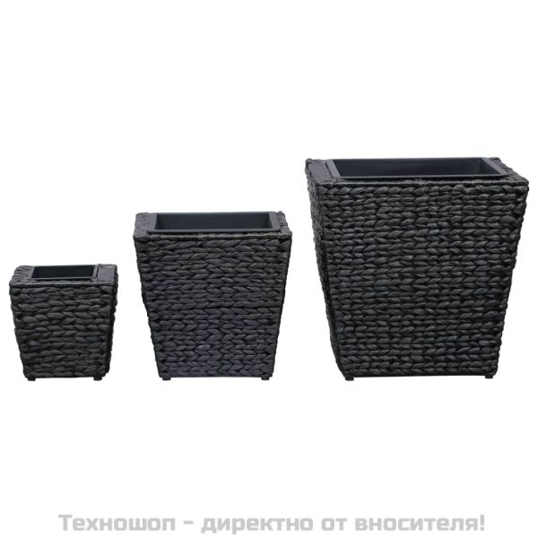 Повдигнати лехи, 3 бр, воден хиацинт, черни