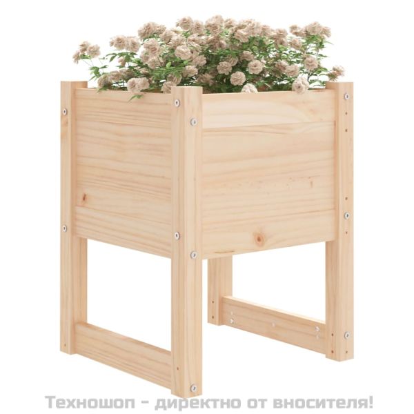 Плантер, 40x40x52,5 см, борово дърво масив