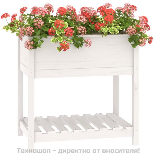 Плантер с рафт, бяла, 82,5x54x81 см, борово дърво масив