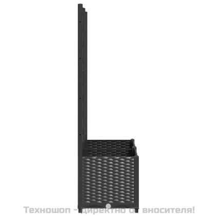 Градинска саксия с решетка, черна, 80x40x136 см, полипропилен