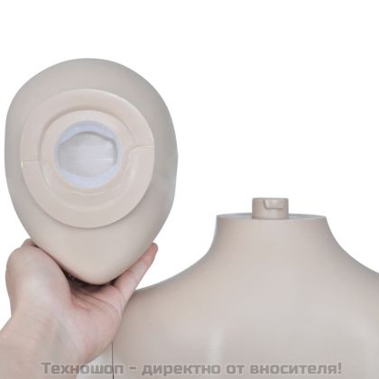 Манекен, дамски силует, кръгла глава