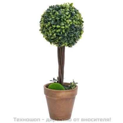 Изкуствен чемшир топки, 2 бр, със саксии, зелени, 56 см