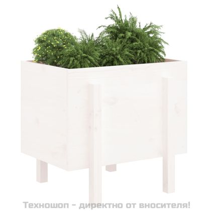 Градински сандък, бял, 62x50x57 см, бор масив