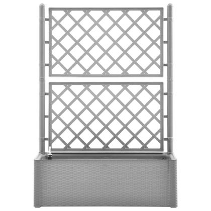 Градинска повдигната леха с решетка, самополивна, сива