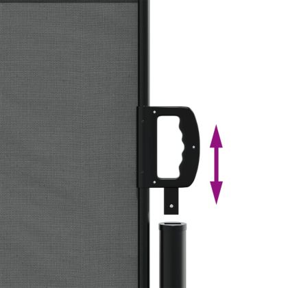 Прибираща се странична тента, антрацитна, 120x500 см