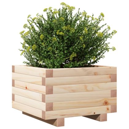 Градинска кашпа 40x40x26,5 см масивна борова дървесина