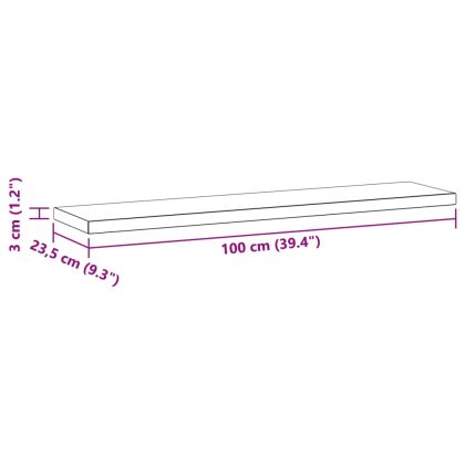 Стенни рафтове 2 бр 100x23,5 см черни неръждаема стомана
