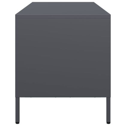 ТВ шкаф, антрацит, 101,5x39x43,5 см, студеновалцувана стомана