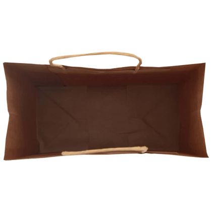 Хартиени торбички 250 бр с дръжки зелени 21x11x36 см