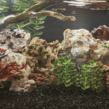 Драконови камъни 10 кг кафяви 5-30 см