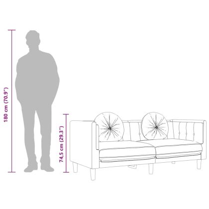 Диван с възглавници 2-местен розово кадифе