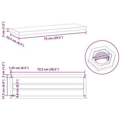 Стенни рафтове 2 бр 75x23,5x3 см сребристи неръждаема стомана
