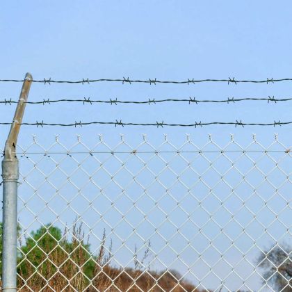 Бодлива тел на ролка, зелена, 100 м