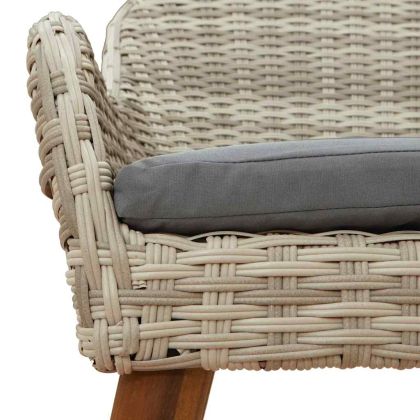 Комплект за хранене в градината 9 pcs Светлосиво полиратан