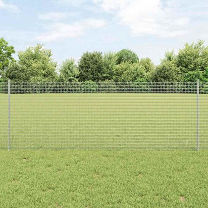 Ограда с пост Сребрист 0,8 x 25 m Стомана