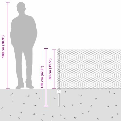Ограда с пост Сребрист 0,8 x 50 м Стомана