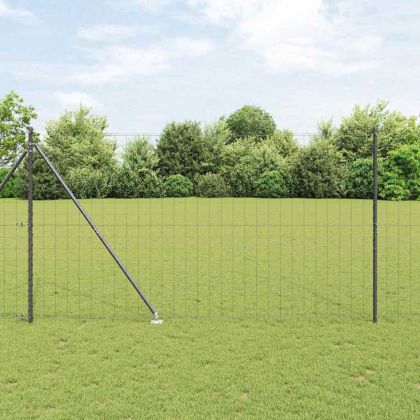Заварена мрежа с шипове 10 x 1,6 м (Ш x В)