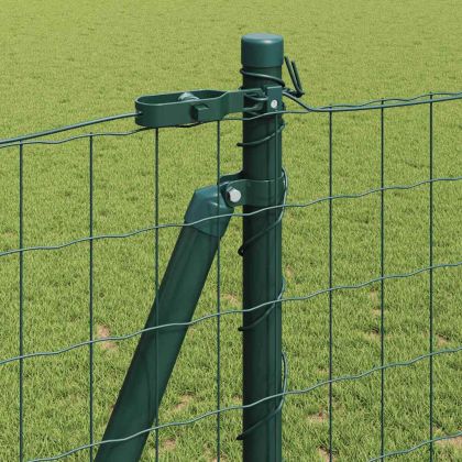 Ограда с пост Зелен 1,2 x 10 m Стомана и PVC