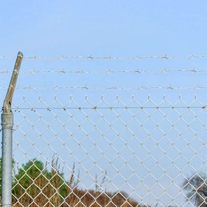 Бодлива тел, 500 м.