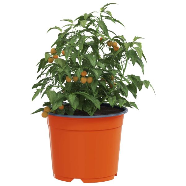 Кръгла саксия за цветя 50 pcs Теракота Ø 10 x 8 см Пластмаса