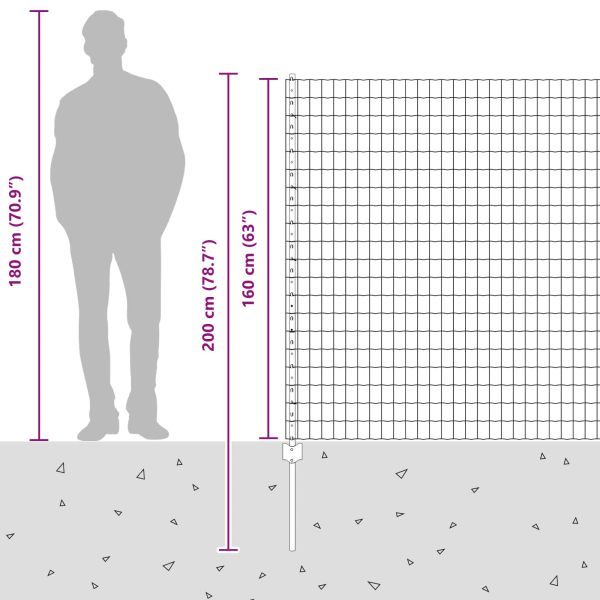 Ограда с пост Сребрист