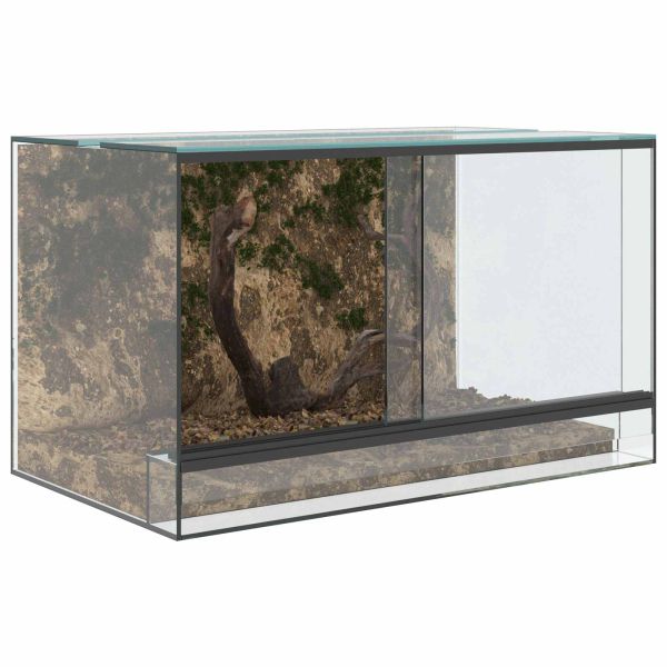 Терариум със съхранение Прозрачен 50 x 30 x 30 см Стъкло