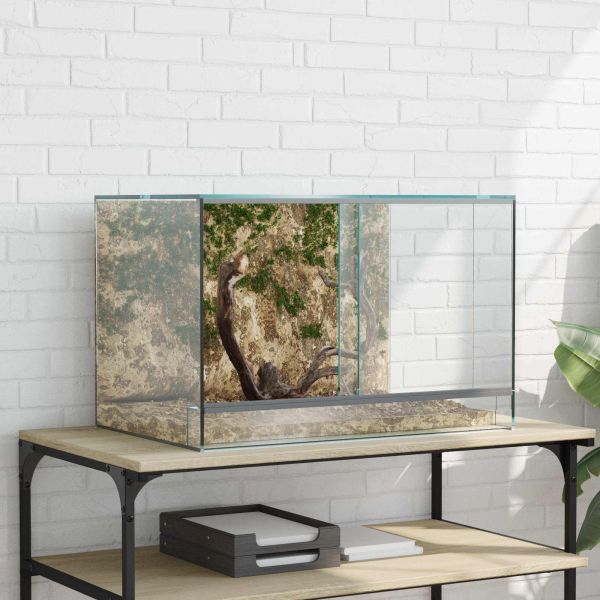 Терариум със съхранение Прозрачен 60 x 40 x 40 см Стъкло