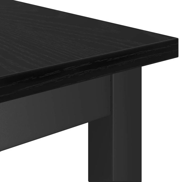 Пейка за хранене 100 x 32,5 x 48,5 см 2 бр.