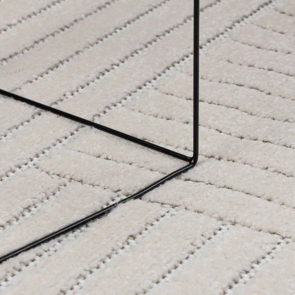 Килими за помещение PALMERAS Крем 120 x 120 cm Полиестер