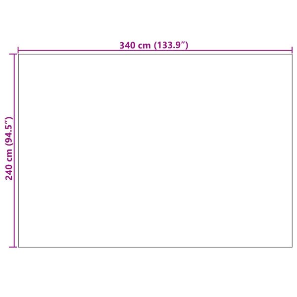 Килими за помещение PALMERAS Крем 340 x 240 см Полиестер