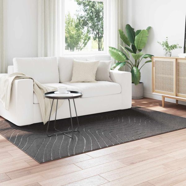 Килими за помещение PALMERAS Антрацит 170 x 120 см Полиестер