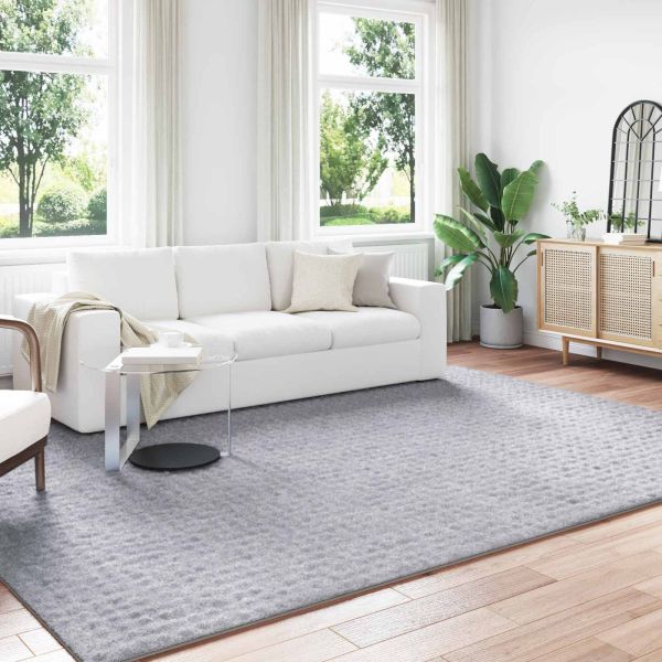 Килими за помещение SIROLO Сив 340 x 240 см Полиестер