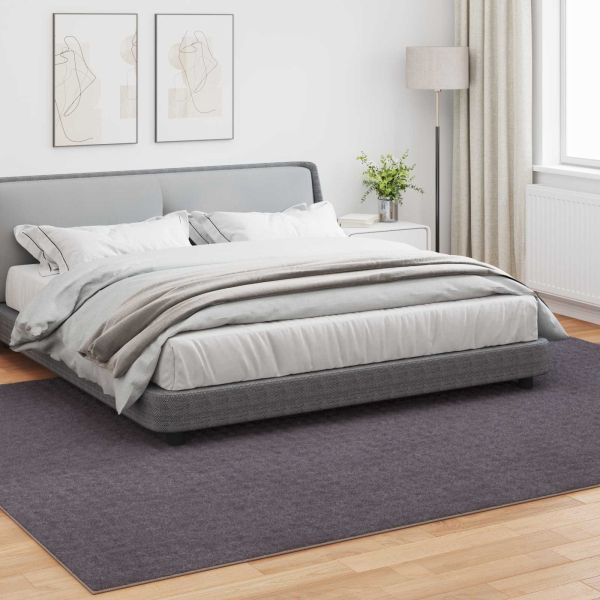 Килими за помещение SIROLO Антрацит 280 x 200 см Полиестер