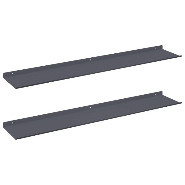 Плаващ рафт 2 pcs Антрацит 100 x 18 x 2,5 см Стомана