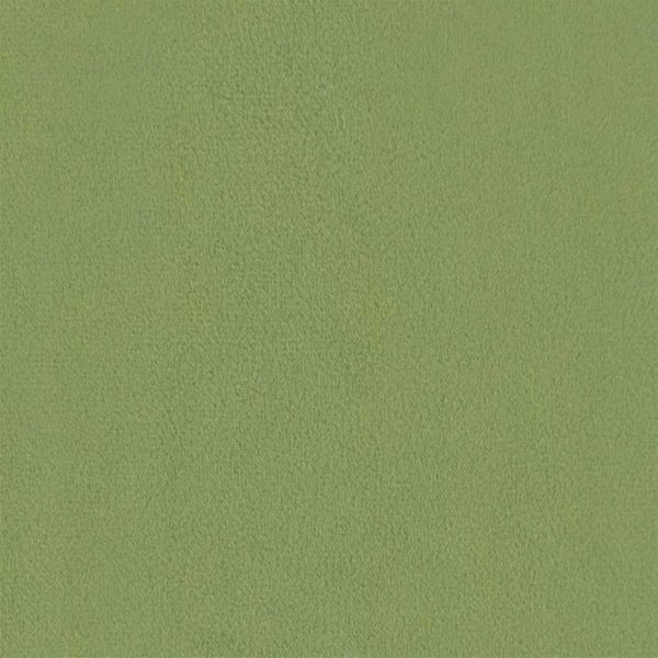 2-местно разтегателно канапе, светлозелено, кадифе