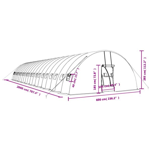 Оранжерия със стоманена рамка бяла 120 м² 20x6x2,85 м