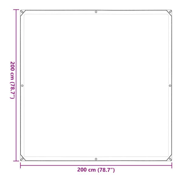 Покритие за растения Прозрачен 2 x 2 m ПЕ