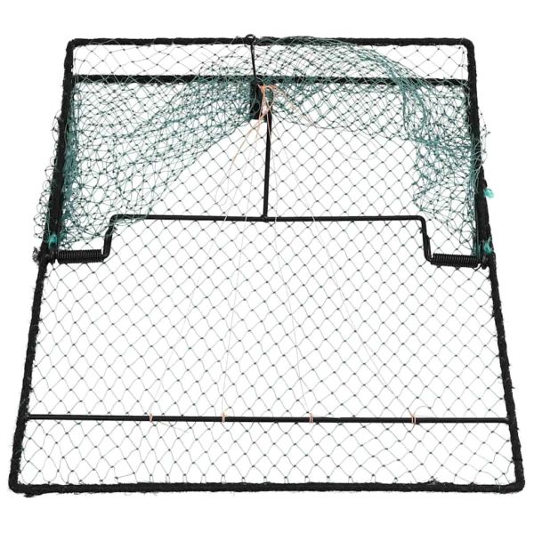 Капан за птици Зелен 50 x 60 x 1,9 см Полиетилен