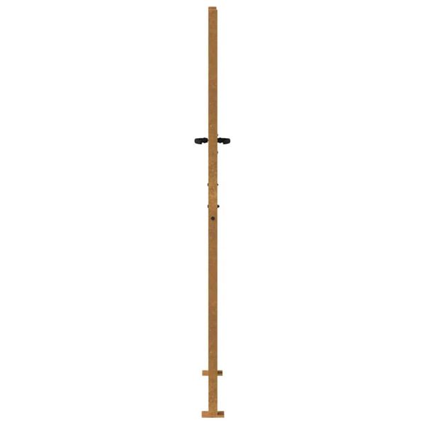 Градинска порта 100x200 см, дизайн с кортен стомана и трева