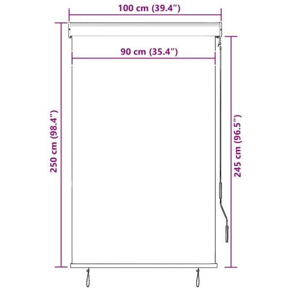 Външна ролетна щора, 100x250 см, синьо и бяло
