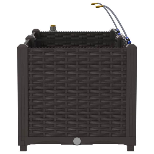 Градинска саксия 2 pcs Кафяво 80 x 40 x 37,5 см Пластмаса