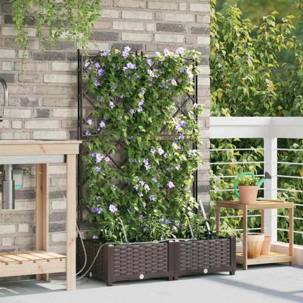 Градинска саксия 2 pcs Кафяво 80 x 40 x 126 см Пластмаса