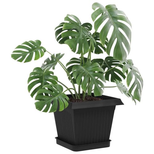Саксии за растения 24 pcs Черно 16 x 16 x 14 см Пластмаса
