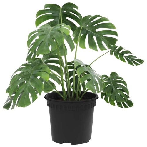 Кръгла саксия за цветя 24 pcs Черно Ø 12,5 x 10 см Пластмаса