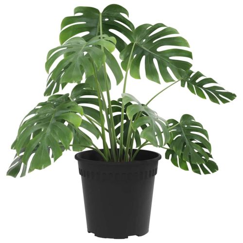 Кръгла саксия за цветя 24 pcs Черно Ø 19 x 16 см Пластмаса